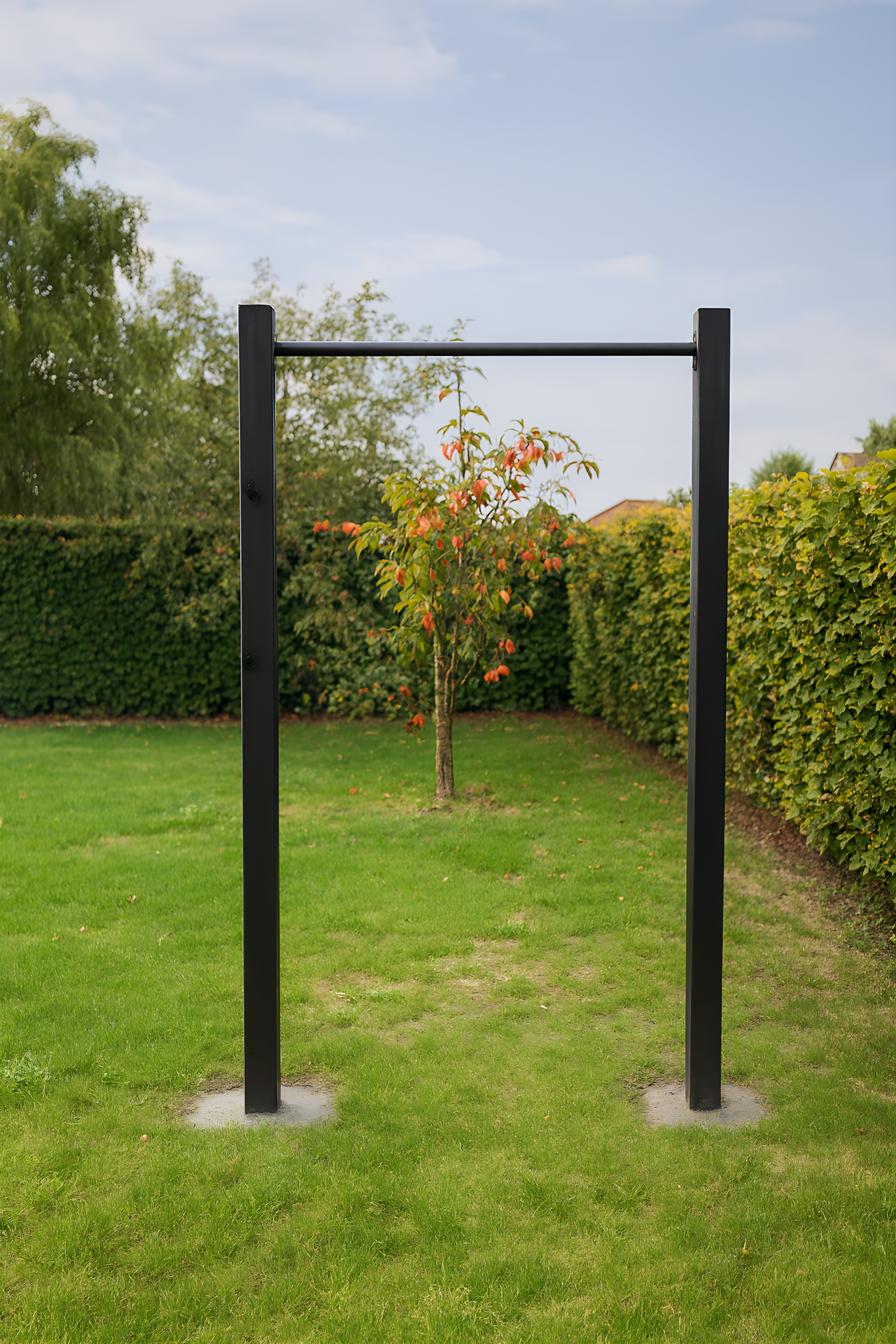 Single pull-up bar 👉 Ideal to start